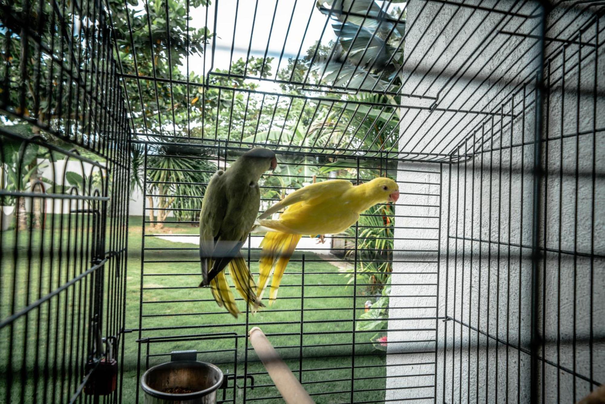 Tana Mysterious Garden Holiday home Panglao